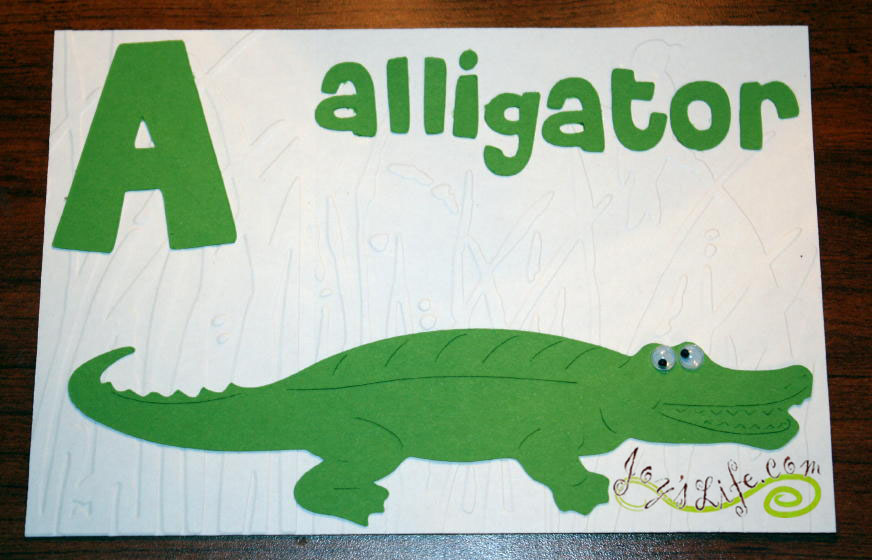 A is for nice little Alligator, please don't eat me. Alligator